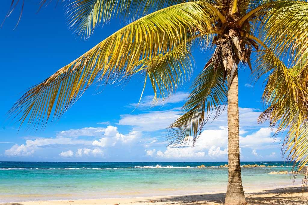Melia Braco Village Trelawny Nature photo